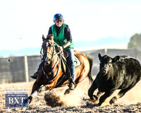 GoulburnCampdraft2019_2487
