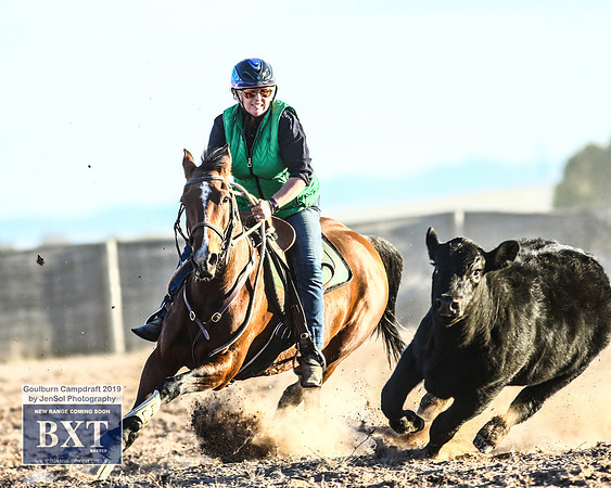 GoulburnCampdraft2019_2487
