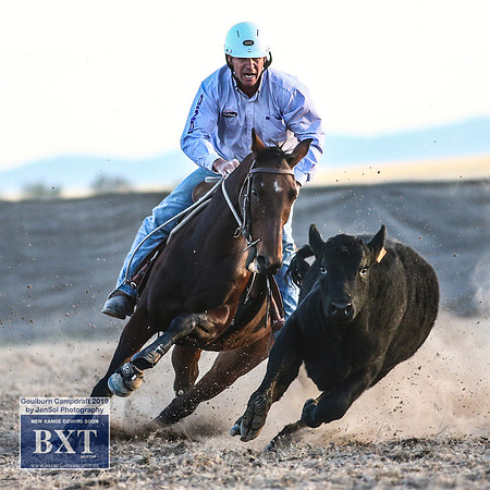 GoulburnCampdraft2019_2659