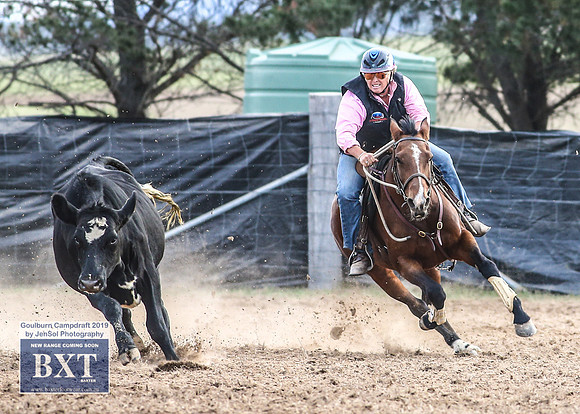 GoulburnCampdraft2019_4702