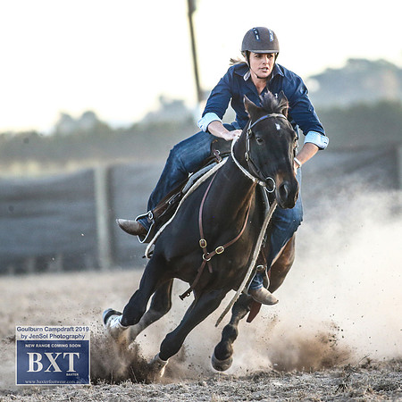GoulburnCampdraft2019_2598