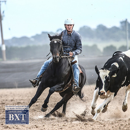 GoulburnCampdraft2019_4710