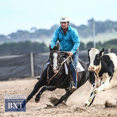 GoulburnCampdraft2019_4725
