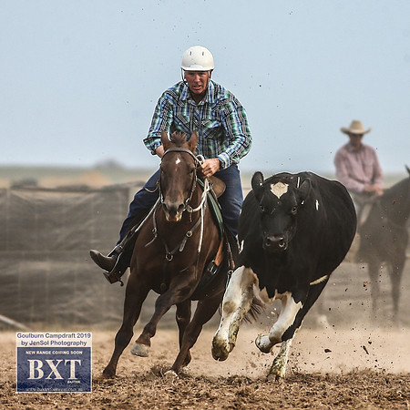 GoulburnCampdraft2019_4769