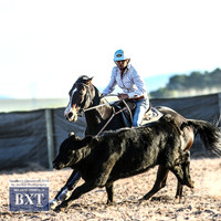 GoulburnCampdraft2019_2504