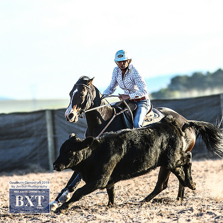 GoulburnCampdraft2019_2504