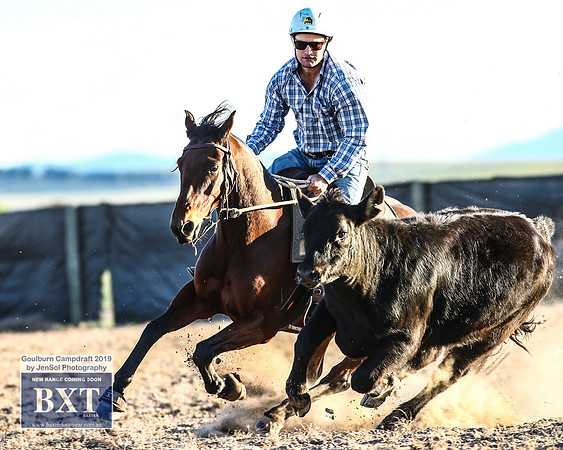 GoulburnCampdraft2019_2454