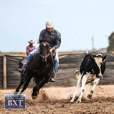 GoulburnCampdraft2019_4721