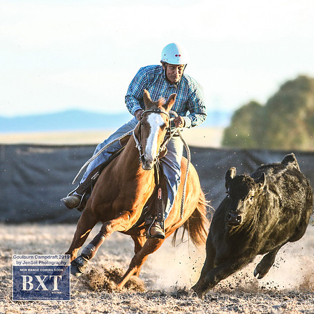 GoulburnCampdraft2019_2645