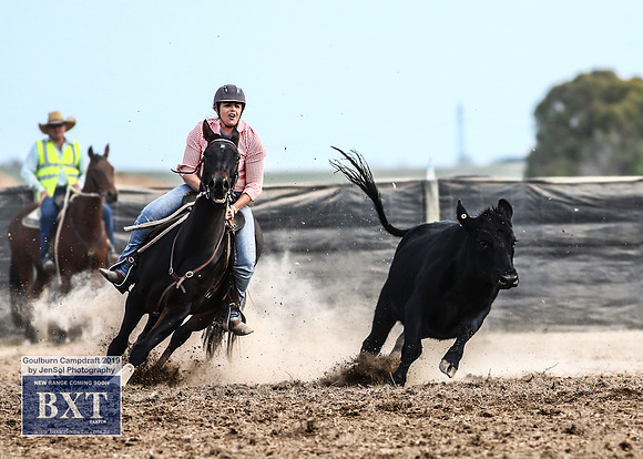 GoulburnCampdraft2019_4602