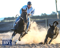 GoulburnCampdraft2019_2559