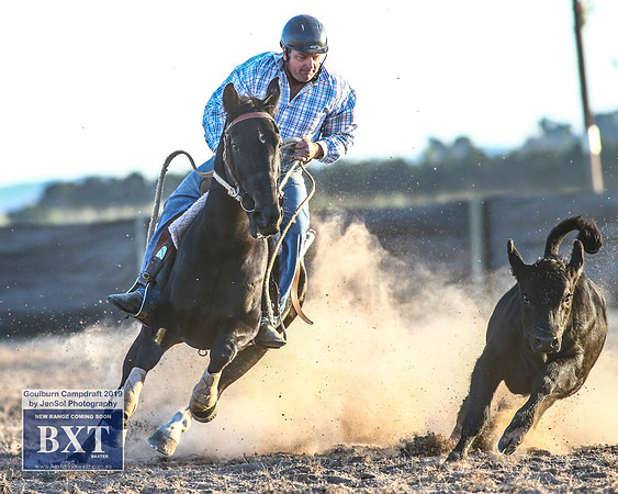 GoulburnCampdraft2019_2559