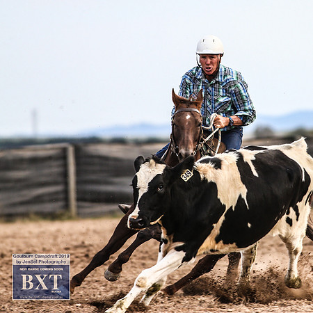 GoulburnCampdraft2019_4559