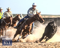 GoulburnCampdraft2019_2339