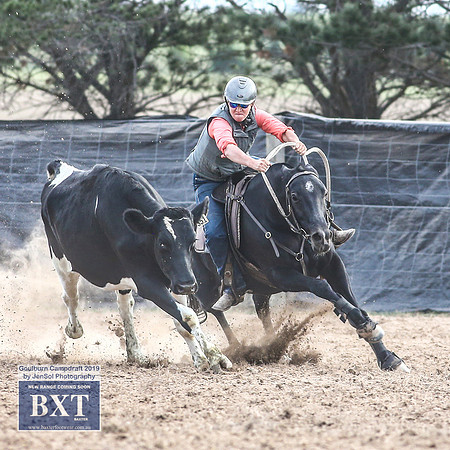 GoulburnCampdraft2019_4749