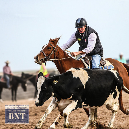 GoulburnCampdraft2019_4622
