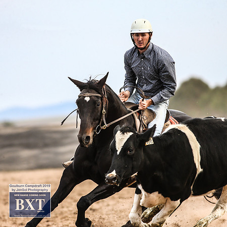 GoulburnCampdraft2019_4772