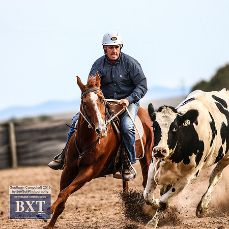 GoulburnCampdraft2019_4663
