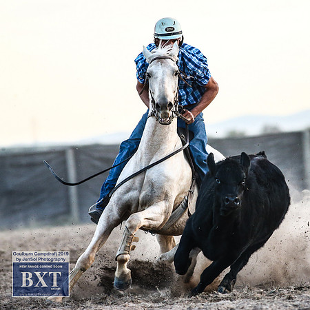 GoulburnCampdraft2019_2708