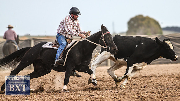 GoulburnCampdraft2019_4653