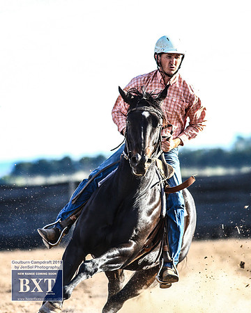 GoulburnCampdraft2019_2184