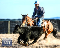 GoulburnCampdraft2019_2363