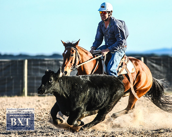 GoulburnCampdraft2019_2363