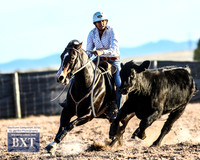 GoulburnCampdraft2019_2511