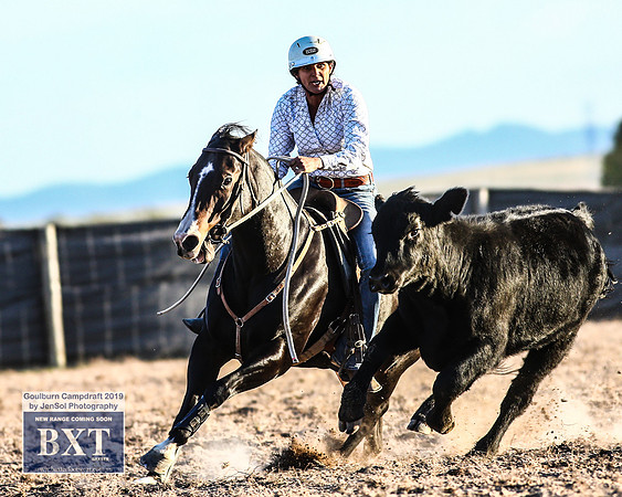 GoulburnCampdraft2019_2511