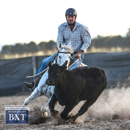 GoulburnCampdraft2019_2624