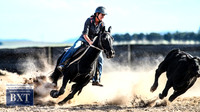 GoulburnCampdraft2019_2122