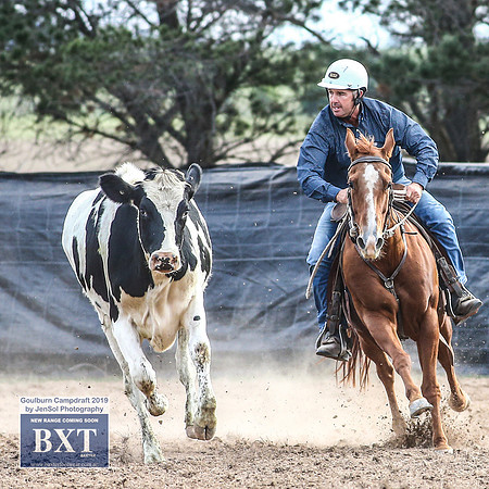 GoulburnCampdraft2019_4672