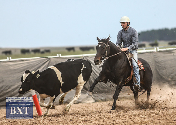 GoulburnCampdraft2019_4784