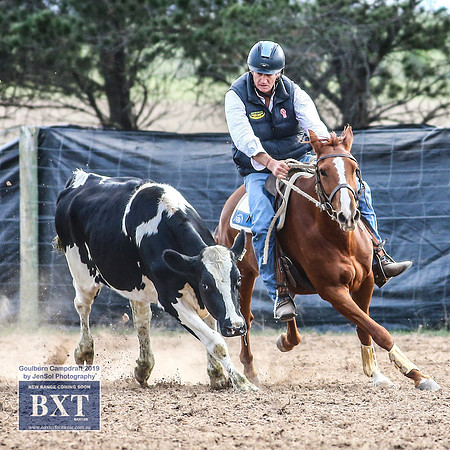 GoulburnCampdraft2019_4628