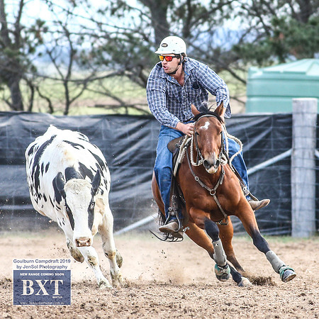 GoulburnCampdraft2019_4541