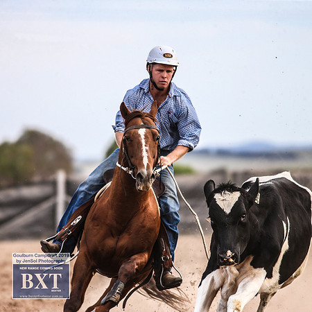 GoulburnCampdraft2019_4551