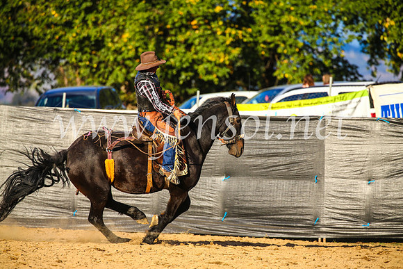 TumutRodeo2017_2808