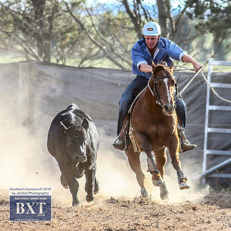 GoulburnCampdraft2019_2137