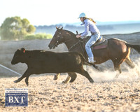 GoulburnCampdraft2019_2576