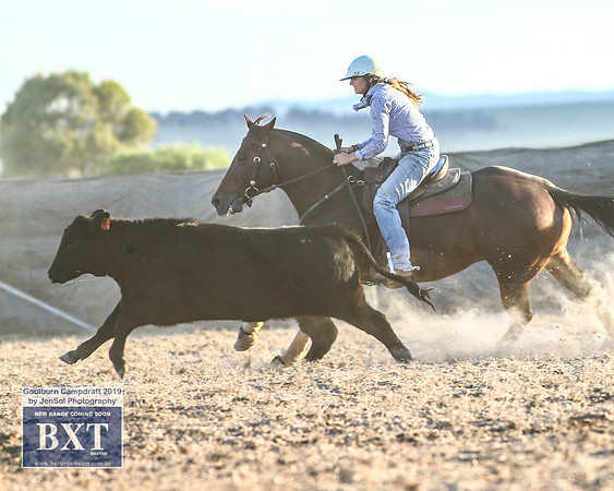 GoulburnCampdraft2019_2576