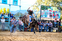 TumutRodeo2017_2771