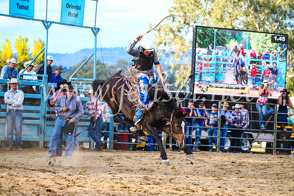 TumutRodeo2017_2771