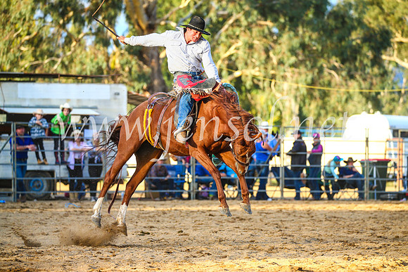 TumutRodeo2017_2935