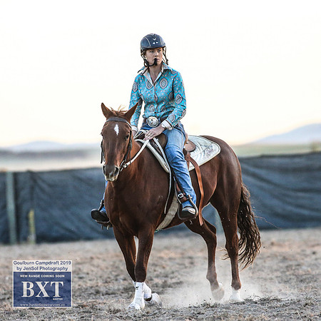 GoulburnCampdraft2019_2717