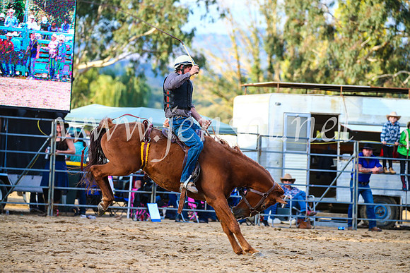 TumutRodeo2017_2856