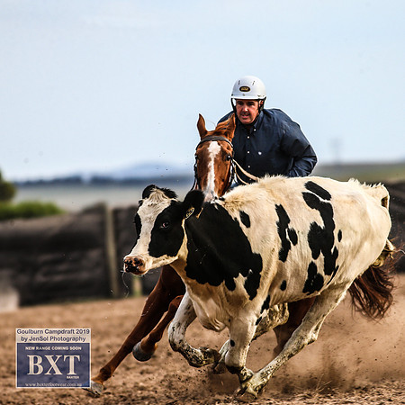 GoulburnCampdraft2019_4666