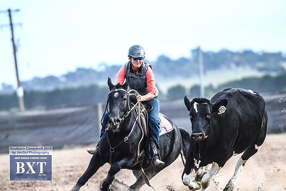 GoulburnCampdraft2019_4747