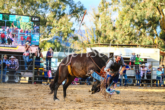TumutRodeo2017_2775