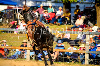 TumutRodeo2017_2825