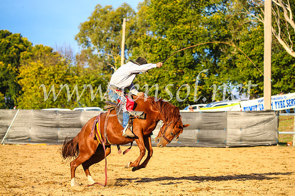 TumutRodeo2017_2951